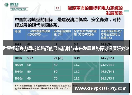 世界杯新兴力量成长路径的形成机制与未来发展趋势探讨深度研究论